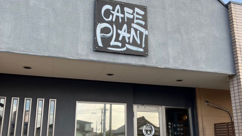 CAFE PLANT