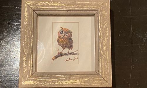bar owl