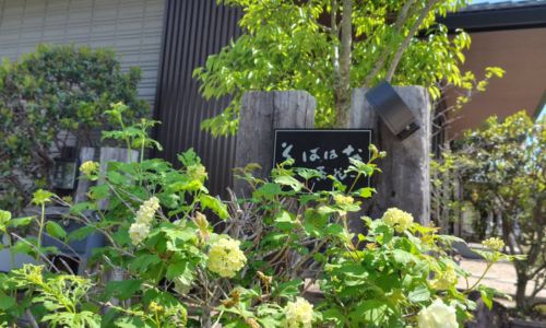 手打ち十割そば -そばはな-(蕎花)