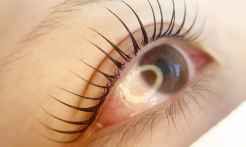 eyelash salon Lo’a